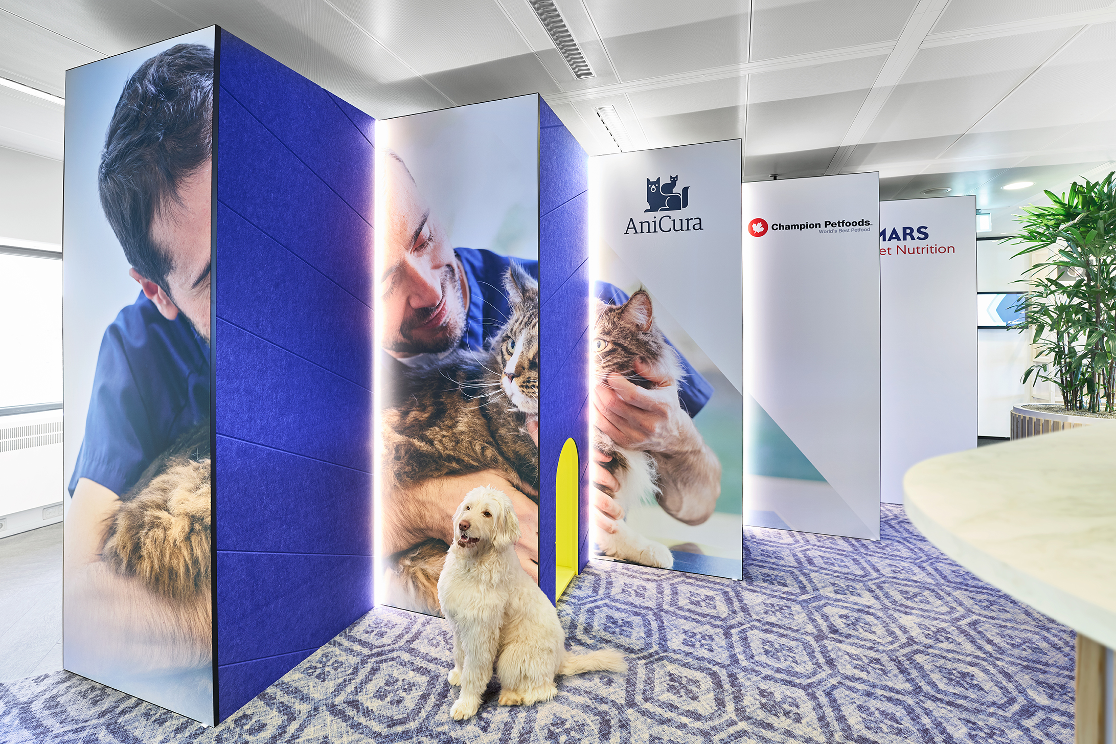 Pet-friendly workspace interior